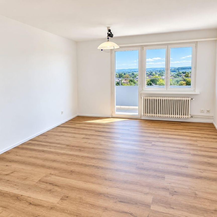 Attikawohnung mit riesiger Terrasse und Aussicht bis zum Bodensee - Foto 1