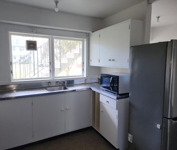 Petone Living - Photo 2