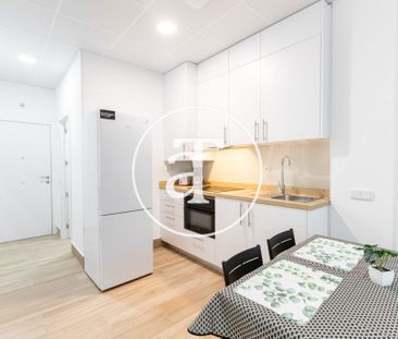 Monthly rental Studio with 1 bedroom, 1 bathroom in Latina - Photo 3