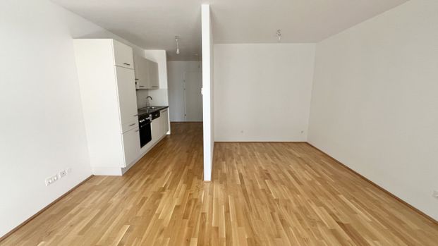 Moderne 2-Zi -Wohnung mit Balkon - nahe Millennium City (provisionsfrei!) - Photo 1