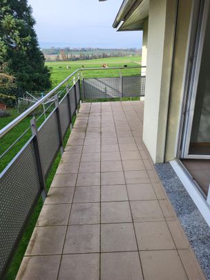 Helle 4.5 Zi.-Whg im 1. Stock mit Balkon - Foto 1