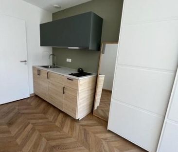 Location Appartement 1 pièce 21m² VILLEURBANNE 69100 - Photo 3
