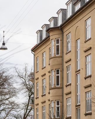 I første parket til Fælledparken - Foto 1