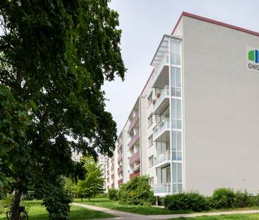 Riemenschneiderweg 1 - Künstler-Karree - Foto 1