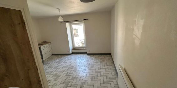 Appartement à louer 1 pièce 18.43m² - Photo 3
