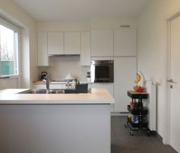 Woning te huur in Roeselare voor € 975 met 3 slaapkamers - Photo 5