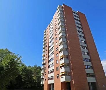 Wohnen über Muttenz; 2020 sanierte Wohnung mit herrlicher Weitsicht - Photo 5