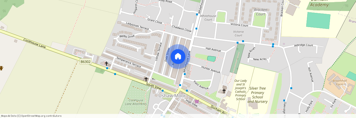 Arthur Street, Ushaw Moor, DH7