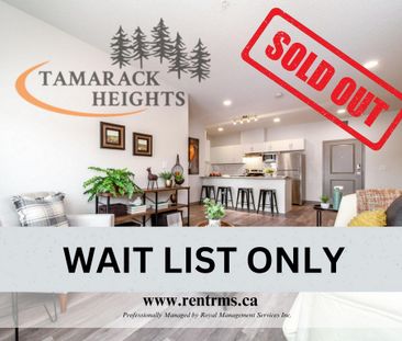 Tamarack Heights - Photo 4