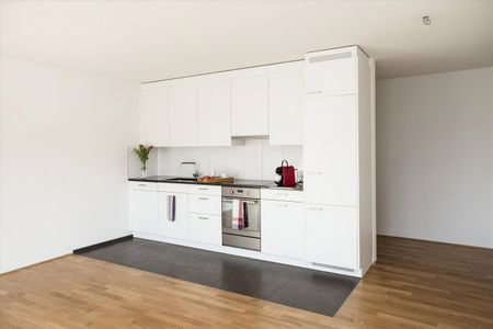 2.5 Zimmer, 62 m², EG - Foto 3