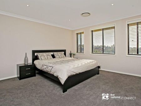 Contemporary, Suburban Sanctuary - Photo 2