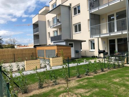 3-Zimmer-Genossenschaftswohnung mit großzügiger Loggia und Tiefgaragenplatz in Wiener Neustadt 3a-2-22 - Foto 5