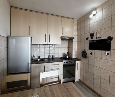 Centrum, 2 pok, Park Andersa, Kaskada - Zdjęcie 3