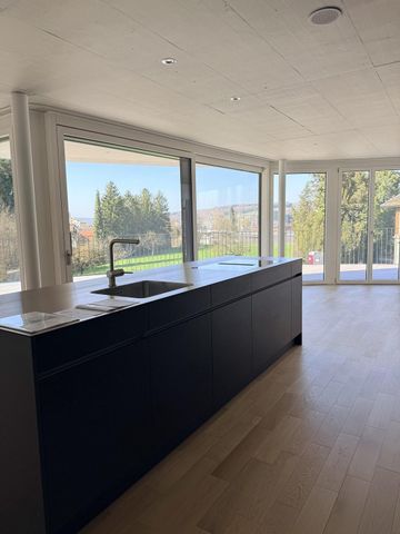 Modernes Attikawohnen im Neubau - 4.5 Zimmer mit riesiger Terrasse - Photo 3