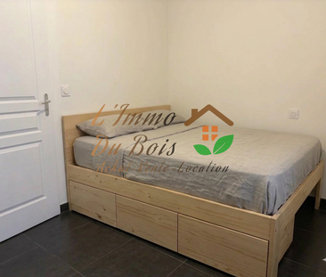 Location Appartement 1 pièce 25m² VIENNE 38200 - Photo 2