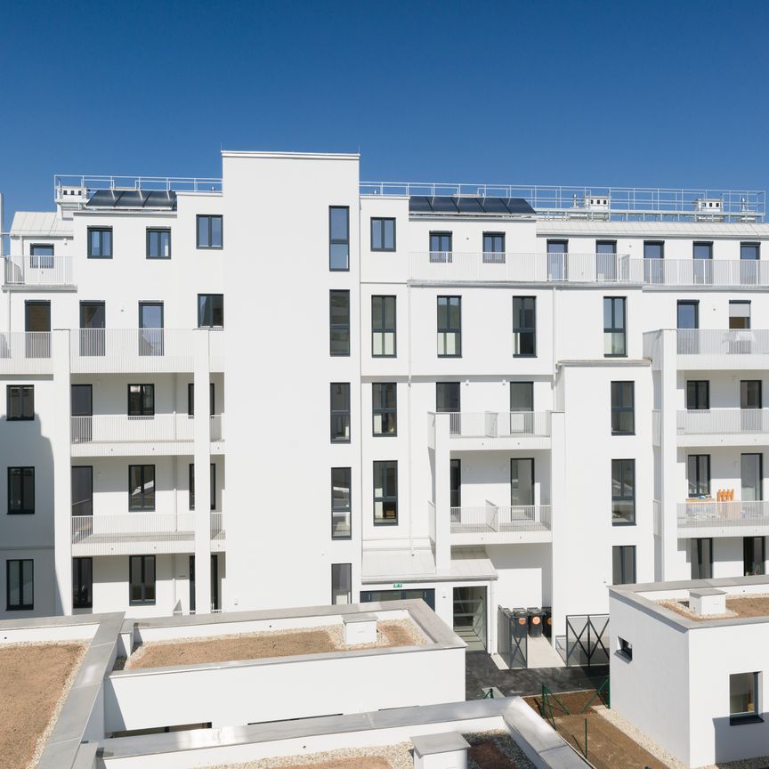 Unbefristete 3-Zimmer-Terrassen-Wohnung Hans-Steger-Gasse 6w27 - Foto 1