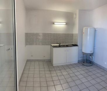 APPARTEMENT T3 A LOUER LYON 7EME ARRONDISSEMENT Cite-Jardin - Photo 4