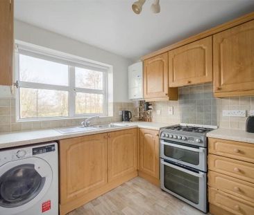 16 Richmond Heights, Holywood, BT18 9TF - Photo 6