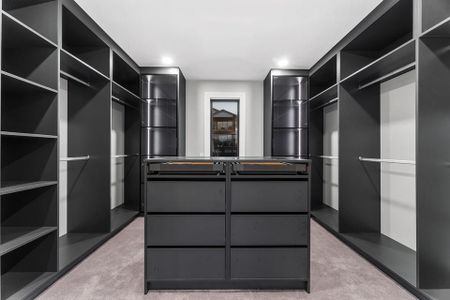 Stunning 5BR Wainui Oasis w/ Pool - Photo 2