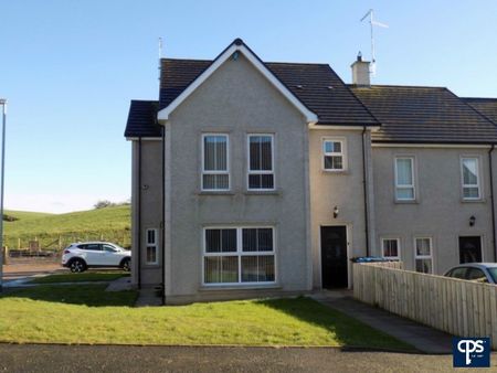 16b Richmond Manor, Ballygawley, Omagh BT70 2ES - Photo 2