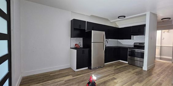 1 CH - 1 SDB - Montréal - $1,275 /mo - Photo 3