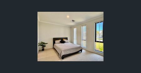 Attractive 4x2 home in whisper quiet location! - Photo 3