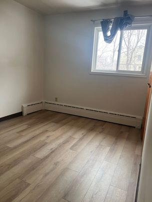 1 BDRM/1 BATH - 409 4TH AVE N - Available Now - Photo 1