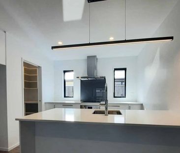 Brand-New Modern, Spacious & Sun-Filled - Photo 2