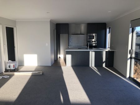 A very stylish, three bedroom, two bathroom home in the exclusive Lockerbie subdivision. - Photo 4