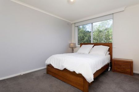 Spacious Living, Close to Hays Paddock - Photo 5