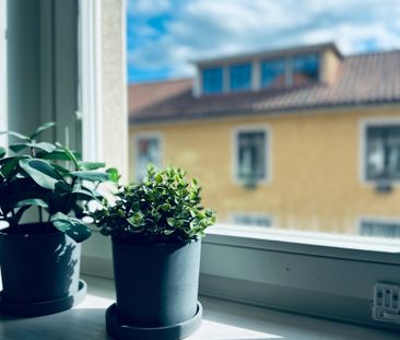 Långgatan, Öregrund - Foto 1