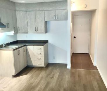 Coquet 2 1/2 demi ss, gym, internet, piscines - TOUT RÉNOVÉ - Photo 3