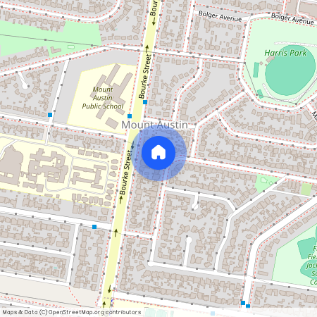 8 Manoora Avenue, Mount Austin, NSW, 2650