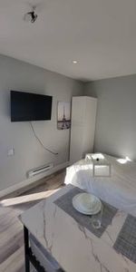 Fully Furnished Studio 1 washroom for rent available April 1 - Photo 3