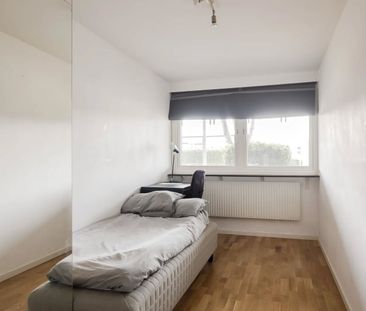 Harald Blåtands gränd, Lund - Foto 2