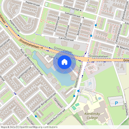 Irene Vorrinkstraat 319, 6535NA Nijmegen