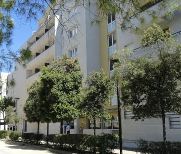 Location Appartement 1 pièce 24m² MONTPELLIER 34000 - Photo 3