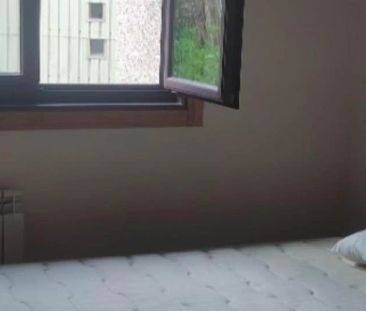 Piso de alquiler en Rúa Cotarelo Valledor, San Francisco - Foto 3