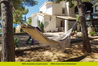 Sunny Hill WINTER OFFER