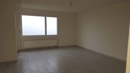 Jardillets 39, Hauterive - Photo 3