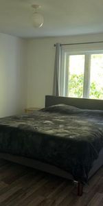 4 1/2 - Lévis - 985 $/mois - Photo 3