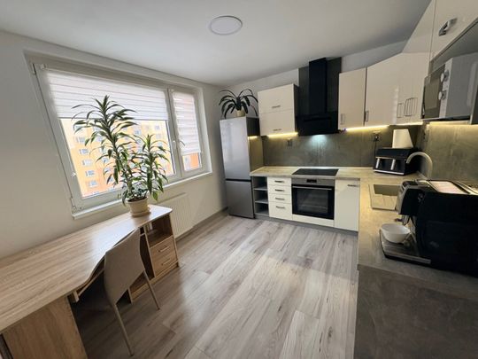 Pronájem bytu 1+1 • 40 m² bez realitkyNa Borku, Jirkov - Jirkov, Ústecký kraj - Photo 1