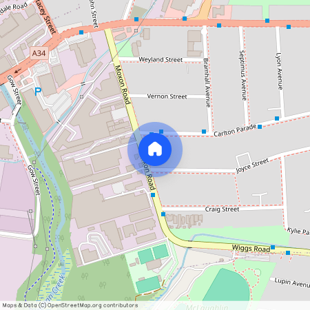 42 Moxon Street, NSW 2196, Punchbowl