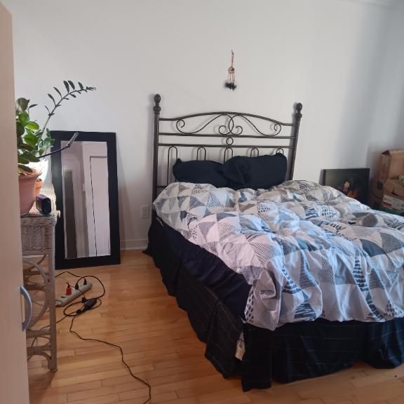 Chambre 1 1/2 acceptant 1 chat - Photo 1