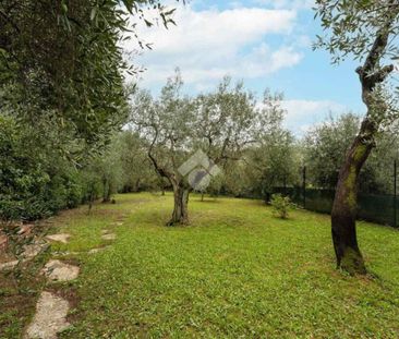 5 locali in affitto - Photo 1