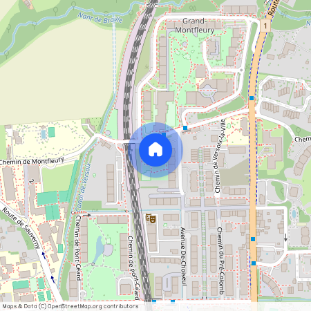 Chemin Petit-Montfleury 4, 1290 Versoix