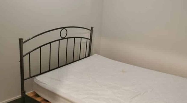 Furnished 2 Bedrooms Apartment on Hobson - Photo 1