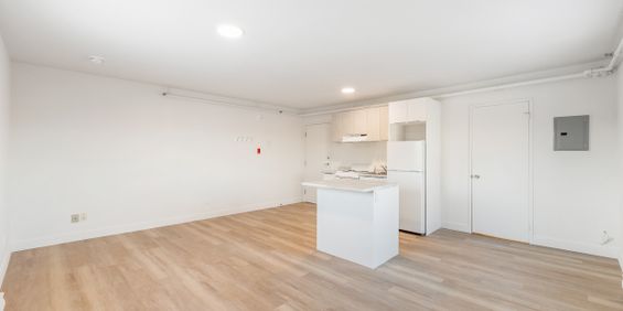 Incroyable Appartement 3 1/2 Sherbrooke - Photo 3