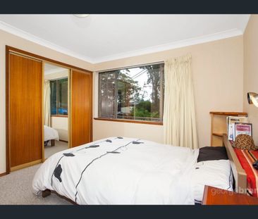 Coastal Home with Leafy Outlook - Photo 4