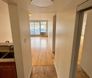 384 Rue Jules-Crépeau, app.203, H4N 0A6, H4N 0A6, Montréal - Photo 4